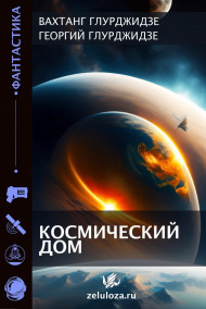 Георгий Глурджидзе читать онлайн Космический дом