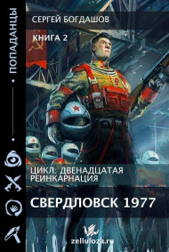 Богдашов Сергей читать онлайн Двенадцатая реинкарнация 2 Свердловск 1977.