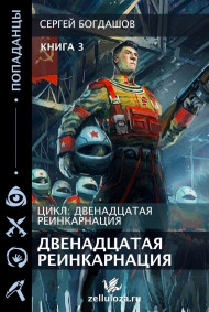 Богдашов Сергей читать онлайн Двенадцатая реинкарнация 3