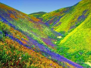 Цветочная долина