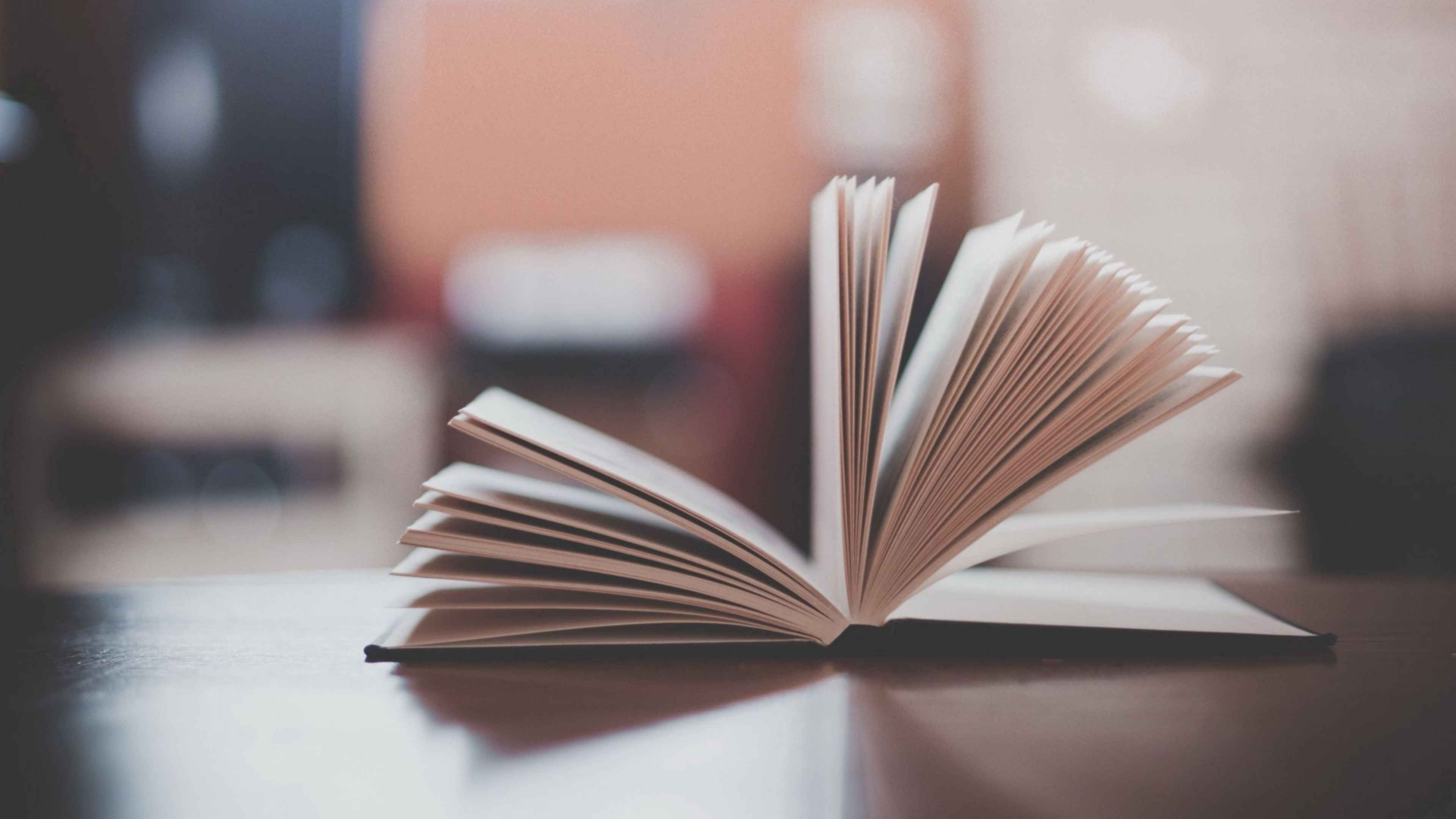 «Изображение к посту “Как выбрать тему для книги: практическое руководство”»