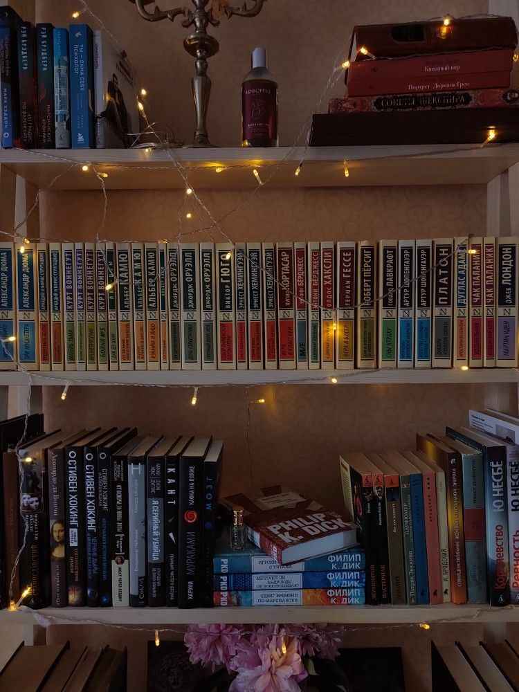 «Изображение к посту “Домашняя библиотека: что сокращает жизнь ваших книг?”»