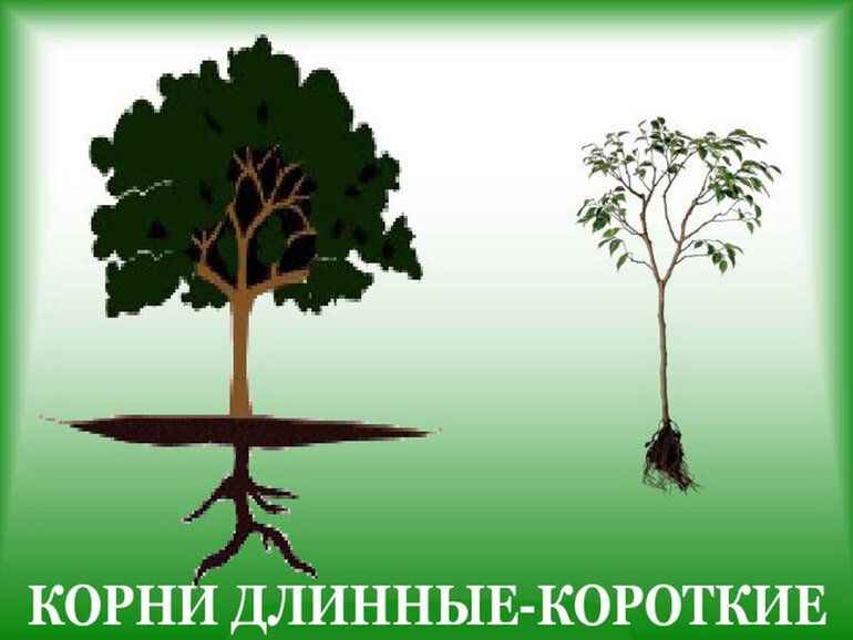 «Изображение к посту “Романы и рассказы: где брать и как строить сюжеты”»