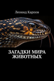 Загадки мира животных