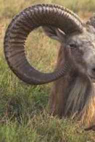 Имя не указано читать онлайн Уйти, чтобы вернуться.