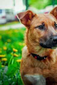 Постников Юрий читать онлайн Гром 6