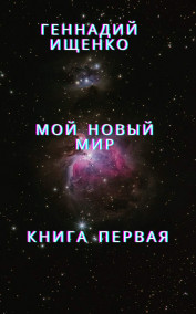 Мой новый мир – книга первая Ищенко Геннадий