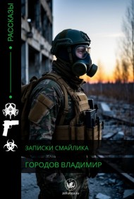Городов Владимир читать онлайн Записки Смайлика