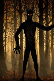 Алина Зорькина читать онлайн Тень на тропе