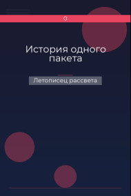История одного пакета