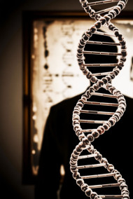 "Аллея Рассеянных Теней"