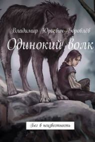 Владимир Боровлёв читать онлайн Одинокий Волк