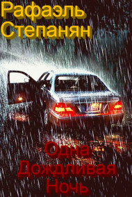 Raphael Stepanyan читать онлайн Одна дождливая ночь