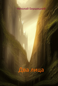 Бершицкий Николай Олегович читать онлайн Два лица
