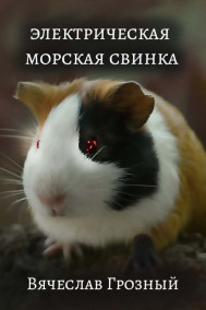 Вячеслав Грозный читать онлайн Электрическая морская свинка