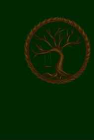 Елена Завелицкая читать онлайн Спасти вчера.Книга первая.Государев педагог.