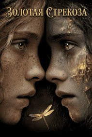 Марианела читать онлайн ЗОЛОТАЯ СТРЕКОЗА