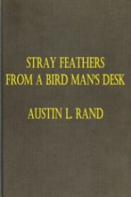 Разбросанные перья птицы на столе человека Остин Лумер Рэнд