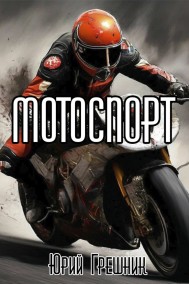 Юрий Грешник читать онлайн Мотоспорт