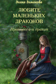 Элина Зимакова читать онлайн Любите маленьких драконов. Принцесса и дракон