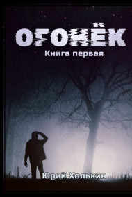 Холькин Юрий читать онлайн Огонёк - Книга первая