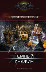 Плотников Сергей читать онлайн Темный княжич