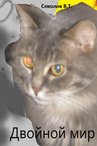 Двойной мир теней