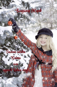 VladimirJhirov читать онлайн Зимние забавы Кнопы или Чудеса в Новом году