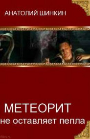 Анатолий Шинкин читать онлайн Метеорит не оставляет пепла