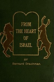 Из самого сердца Израиля. Еврейские сказки Бернард Драхман