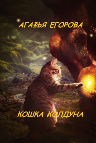 Агафья Егорова читать онлайн Кошка колдуна