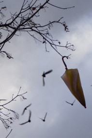 Екатерина читать онлайн Ветер перемен