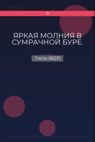 Обложка книги ЯРКАЯ МОЛНИЯ В СУМРАЧНОЙ БУРЕ.