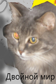 Двойной мир