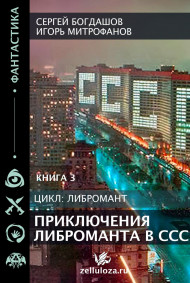 Богдашов Сергей читать онлайн Приключения либроманта 3