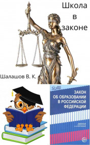 Школа в законе Виктор Шалашов