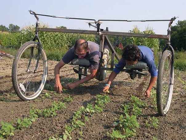 Фото к посту 84975 номер 4415