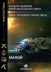 Малой. Книга третья Владлен Вадимов