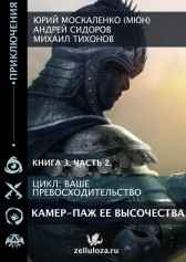 Камер-паж Её высочества. Книга третья. Часть вторая.
