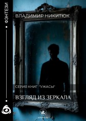 Взгляд из зеркала Владимир Никитюк