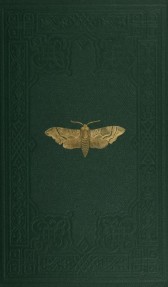 Криспо - Тестовый Сборник Случайностей (Тест2) читать онлайн