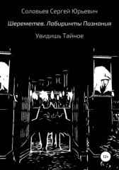 Шереметев. Лабиринты Познания Сергей Соловьев