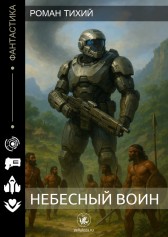 Небесный воин Роман Тихий