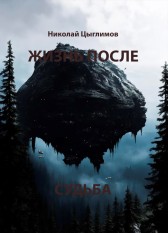 Жизнь после. Судьба. Николай Цыглимов