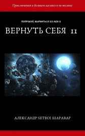 Вернуть себя. Том 11 Setroi