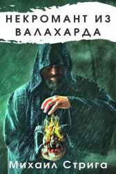 Некромант из Валахарда. Книга 1 Литклуб Фантаст