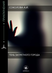 Тень Запретного города Соколова Арина