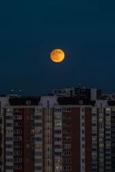 Тишина