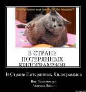 «В стране потерянных килограммов. Или, Что нужно съесть, чтобы похудеть?» Assenatas(Агнесса Лолит)