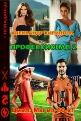 Профессионал 2